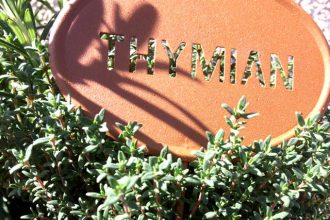 Thymian mit Beschriftung