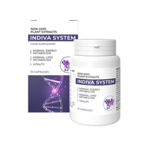 InDiva System