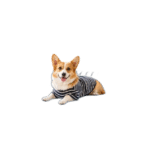 Pawlax