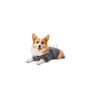 Pawlax
